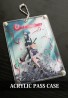 Acrylic Pass Case